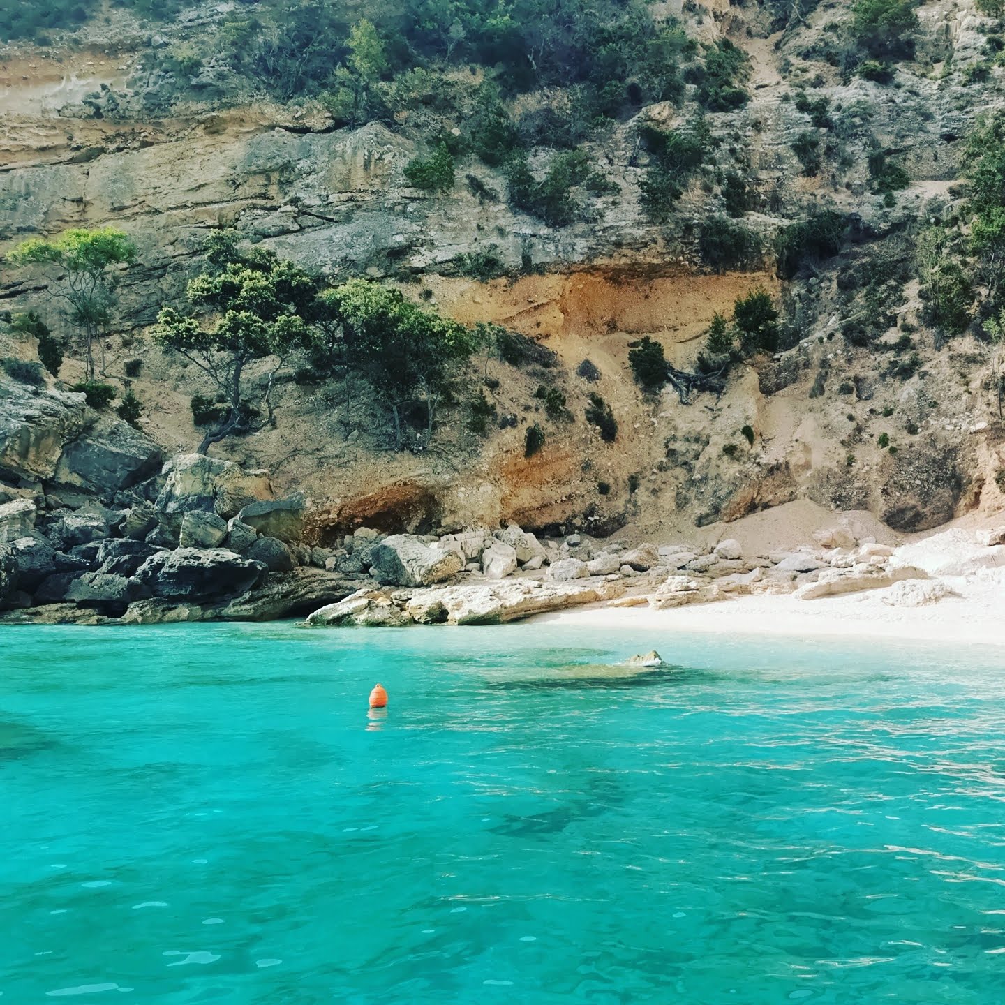 Golfo di Orosei in Gommone