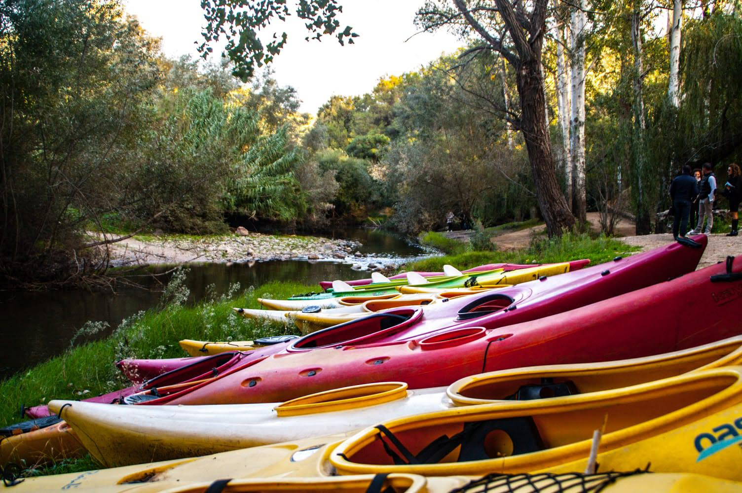 Escursione in kayak