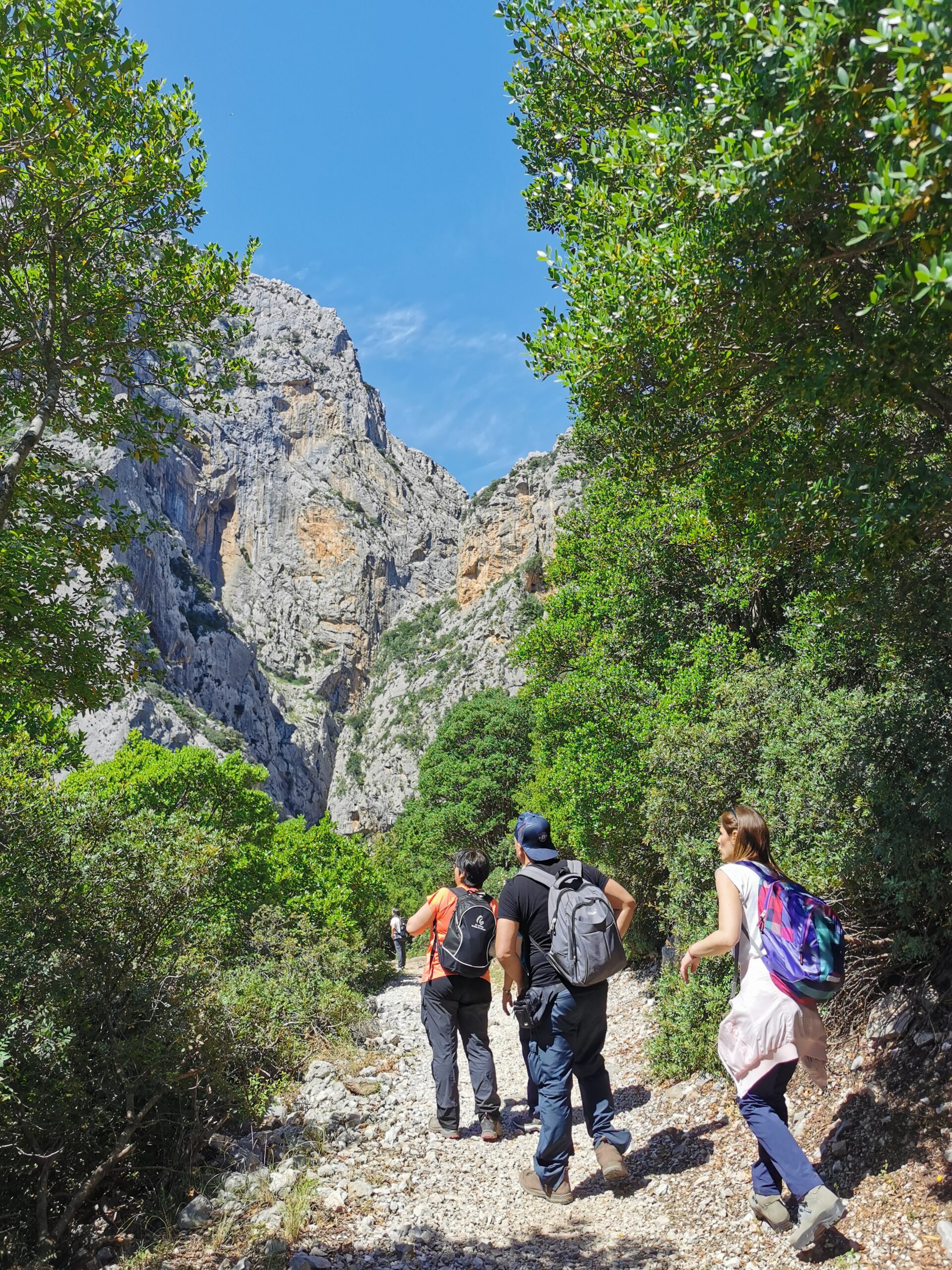 Trekking Canyon Gorropu