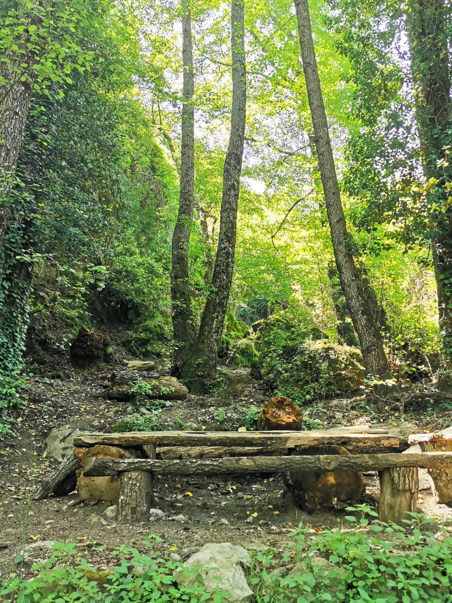 Trekking Canyon Gorropu