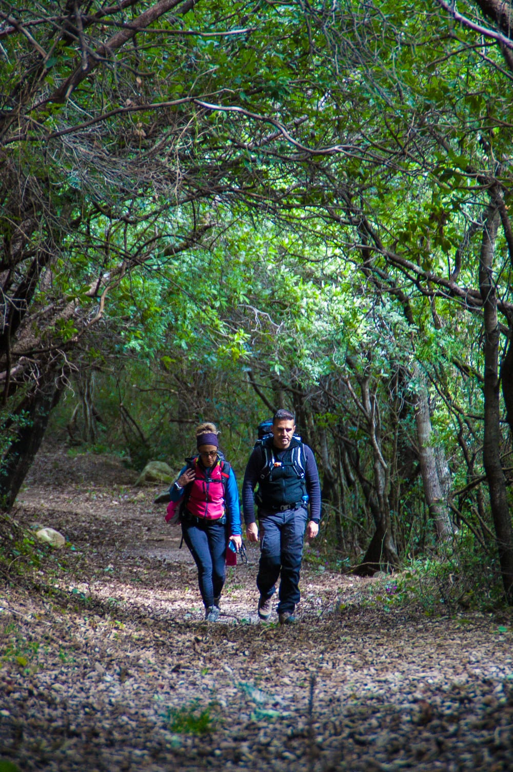 Trekking Canyon Gorroppu