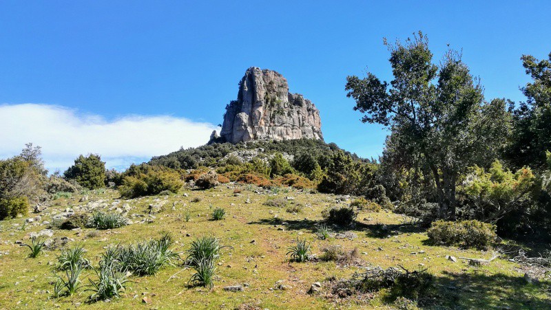 Orgosolo Monte Novo San Giovanni