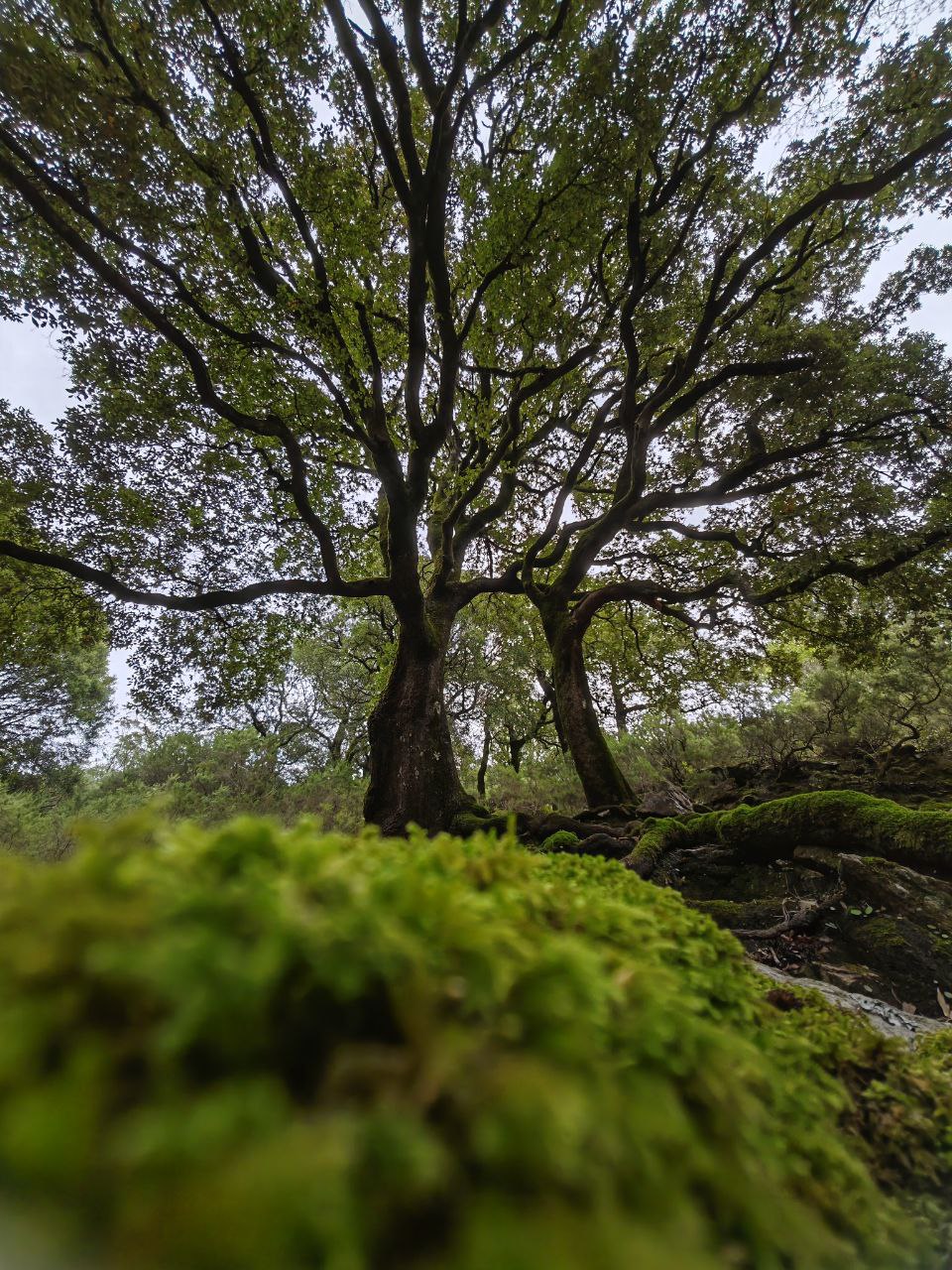 Trekking Sa Conca Isteddata