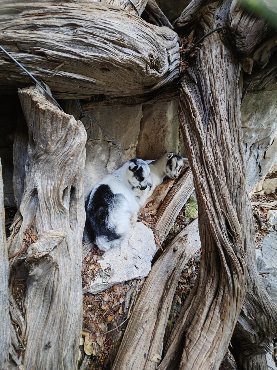 Trekking Cala Biriala