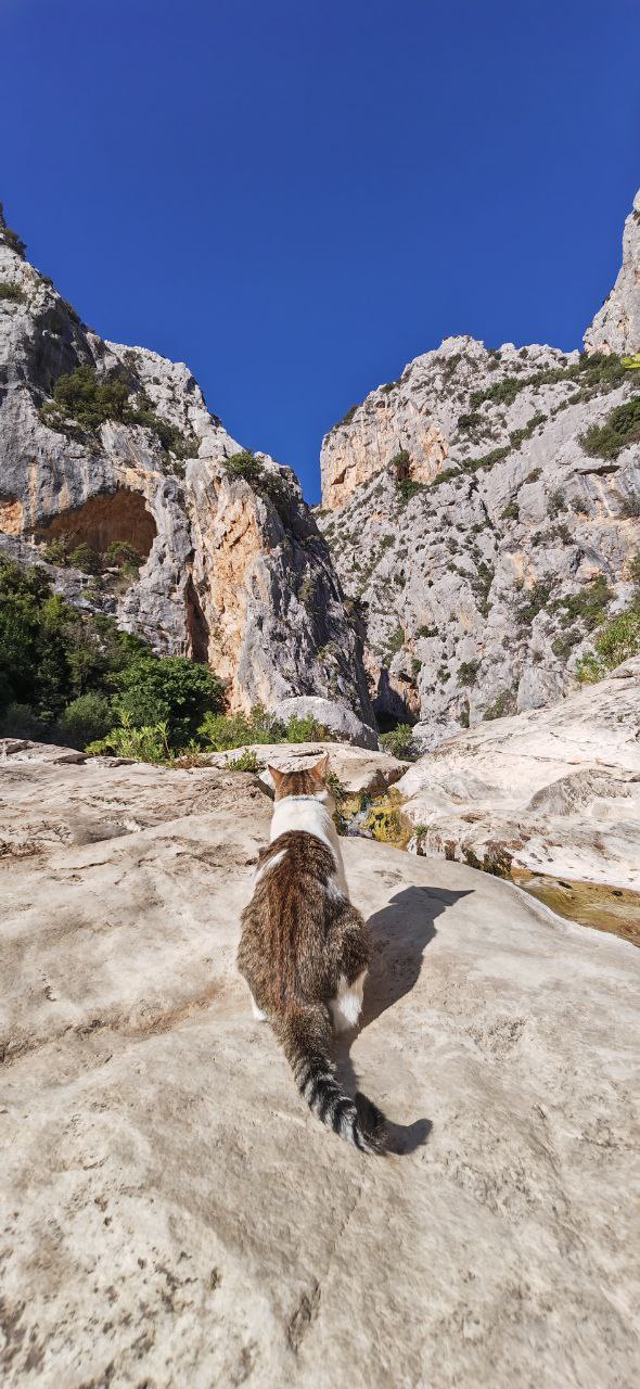 Trekking Canyon Gorropu