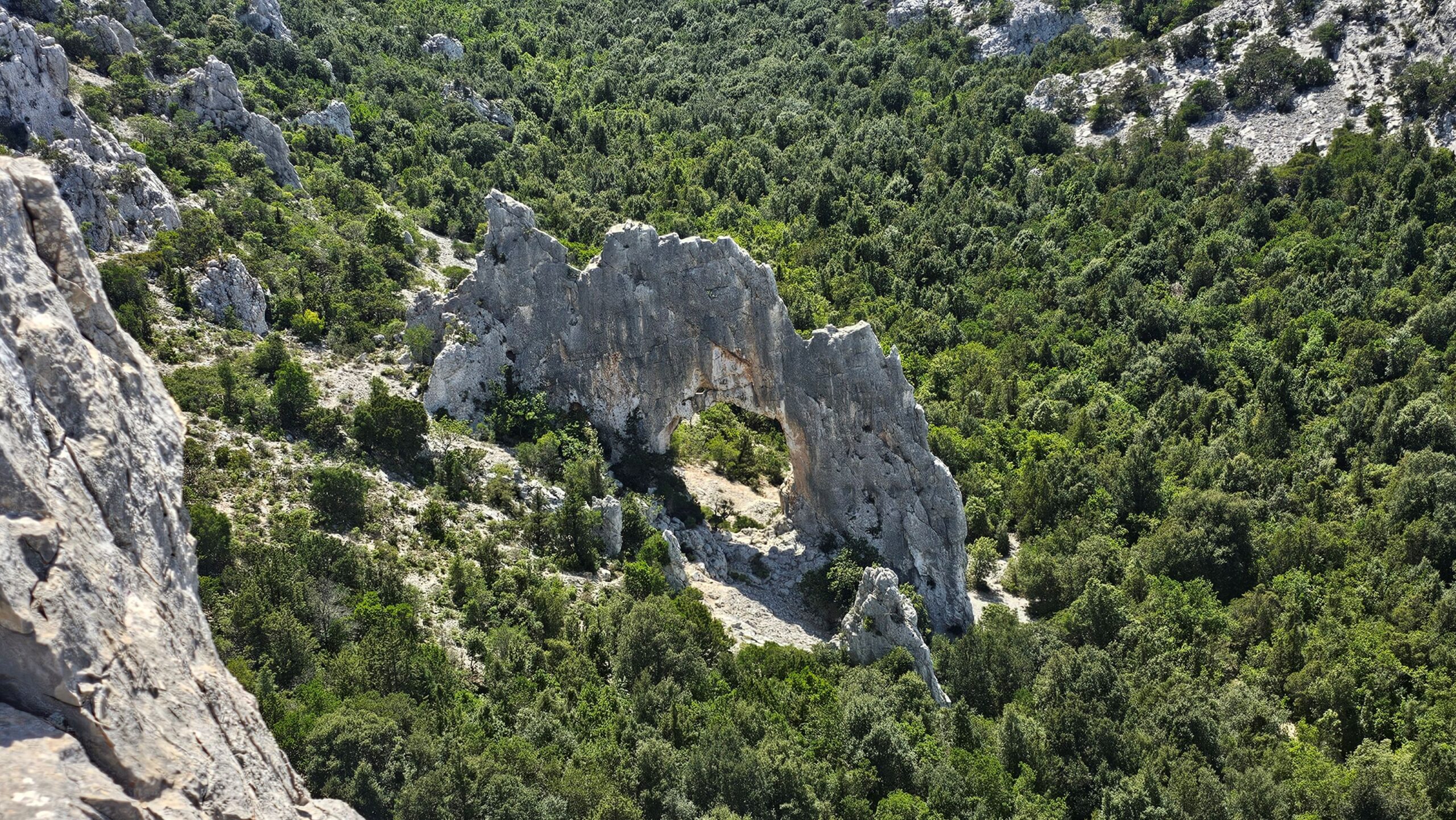 Trekking I segreti della Falesia Golfo di Orosei